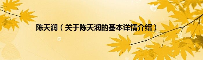 陈天润（关于陈天润的基本详情介绍）