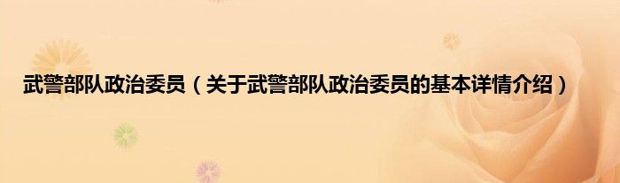 武警部队政治委员（关于武警部队政治委员的基本详情介绍）