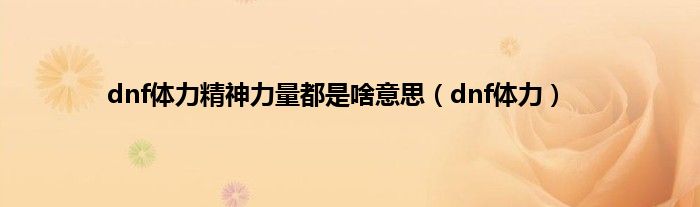 dnf体力精神力量都是啥意思（dnf体力）