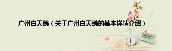 广州白天鹅（关于广州白天鹅的基本详情介绍）