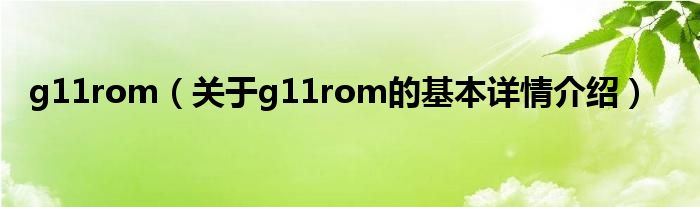 g11rom（关于g11rom的基本详情介绍）