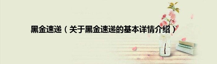 黑金速递（关于黑金速递的基本详情介绍）