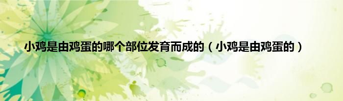 小鸡是由鸡蛋的哪个部位发育而成的（小鸡是由鸡蛋的）