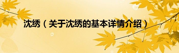 沈绣（关于沈绣的基本详情介绍）