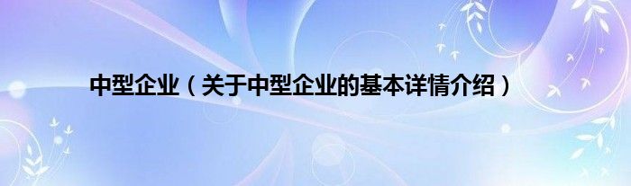 中型企业（关于中型企业的基本详情介绍）