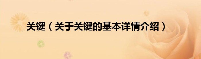关键（关于关键的基本详情介绍）