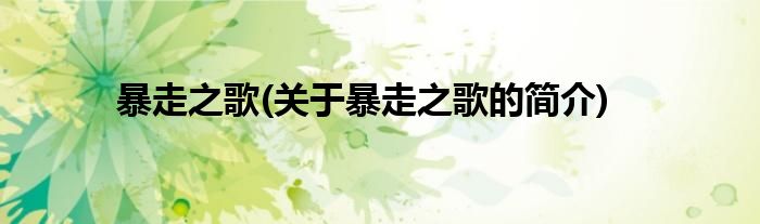 暴走之歌(关于暴走之歌的简介)