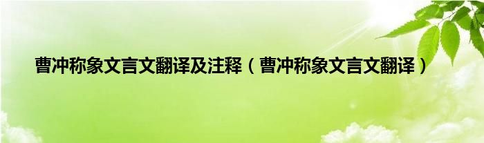 曹冲称象文言文翻译及注释（曹冲称象文言文翻译）