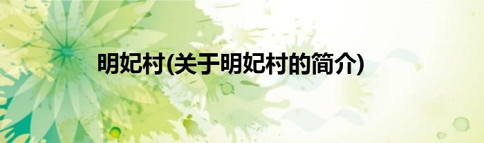 明妃村(关于明妃村的简介)