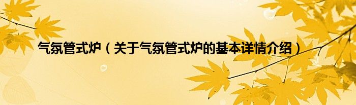 气氛管式炉（关于气氛管式炉的基本详情介绍）