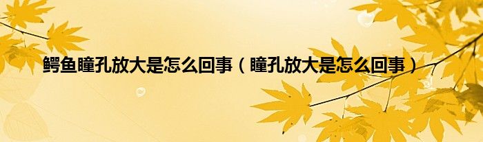 鳄鱼瞳孔放大是怎么回事（瞳孔放大是怎么回事）