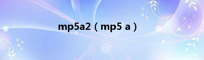 mp5a2（mp5 a）