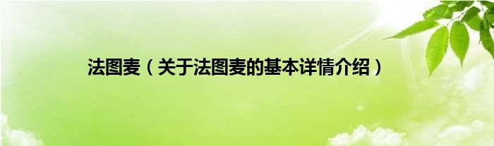 法图麦（关于法图麦的基本详情介绍）