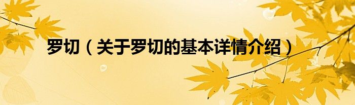 罗切（关于罗切的基本详情介绍）