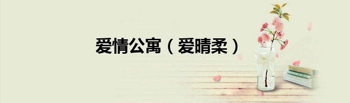 爱情公寓（爱晴柔）