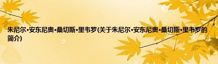 朱尼尔·安东尼奥·桑切斯·里韦罗(关于朱尼尔·安东尼奥·桑切斯·里韦罗的简介)