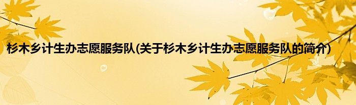 杉木乡计生办志愿服务队(关于杉木乡计生办志愿服务队的简介)