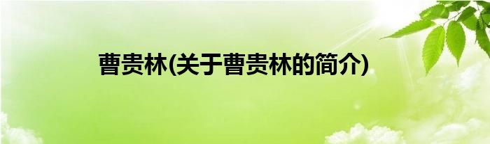 曹贵林(关于曹贵林的简介)