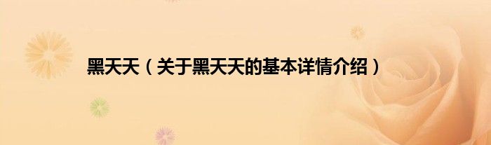 黑天天（关于黑天天的基本详情介绍）