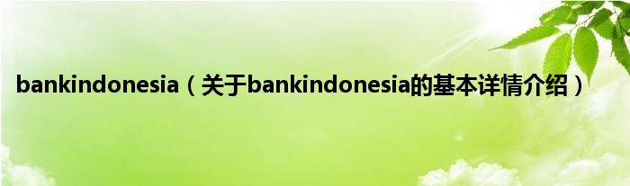bankindonesia（关于bankindonesia的基本详情介绍）