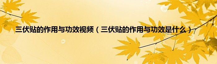 三伏贴的作用与功效视频（三伏贴的作用与功效是什么）
