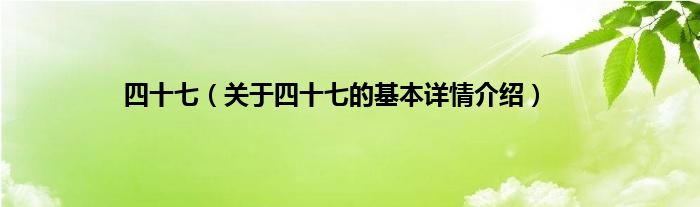 四十七（关于四十七的基本详情介绍）