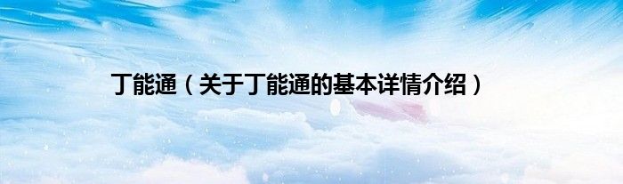 丁能通（关于丁能通的基本详情介绍）