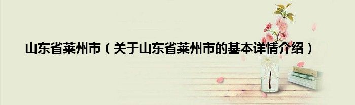 山东省莱州市（关于山东省莱州市的基本详情介绍）
