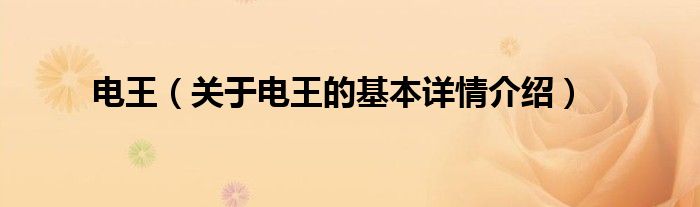 电王（关于电王的基本详情介绍）