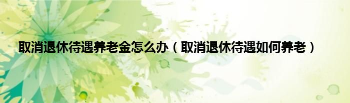 取消退休待遇养老金怎么办（取消退休待遇如何养老）