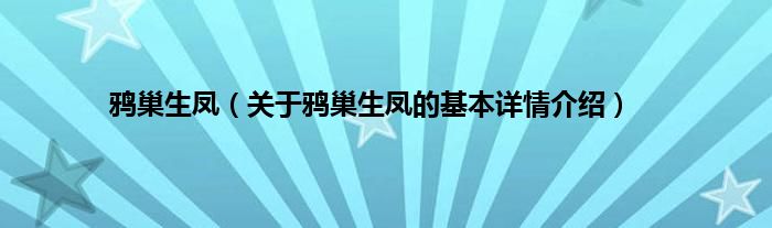 鸦巢生凤（关于鸦巢生凤的基本详情介绍）