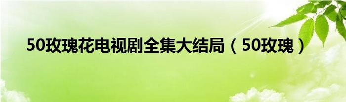 50玫瑰花电视剧全集大结局（50玫瑰）