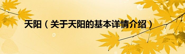 天阳（关于天阳的基本详情介绍）