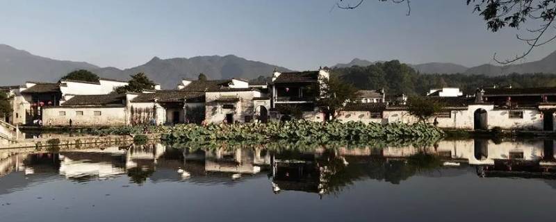 抖音兔八哥是安徽哪里的