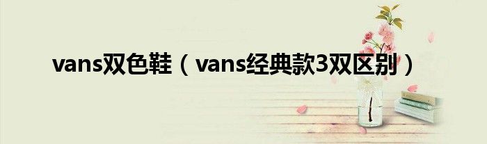 vans双色鞋（vans经典款3双区别）