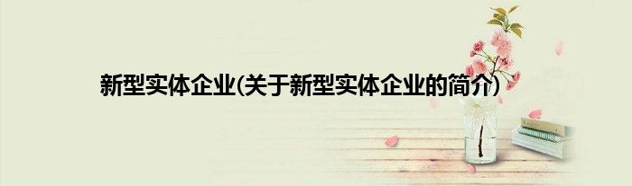 新型实体企业(关于新型实体企业的简介)