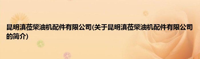 昆明滇莅柴油机配件有限公司(关于昆明滇莅柴油机配件有限公司的简介)