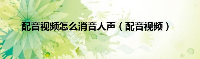 配音视频怎么消音人声（配音视频）
