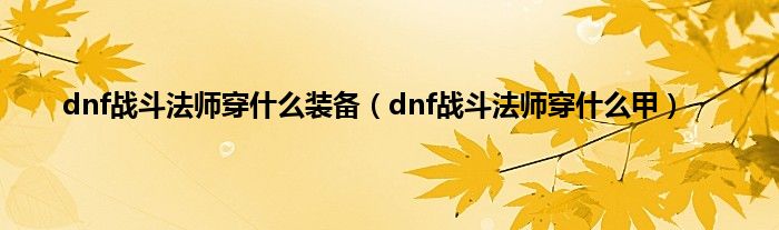 dnf战斗法师穿什么装备（dnf战斗法师穿什么甲）