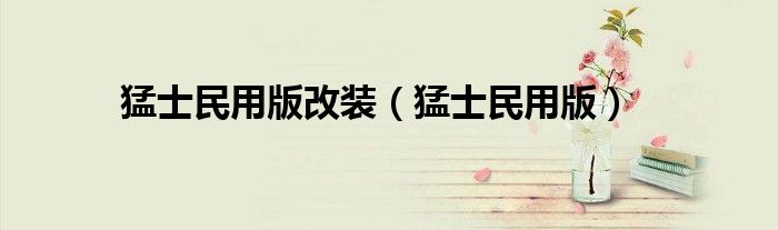 猛士民用版改装（猛士民用版）