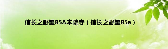 信长之野望85A本院寺（信长之野望85a）